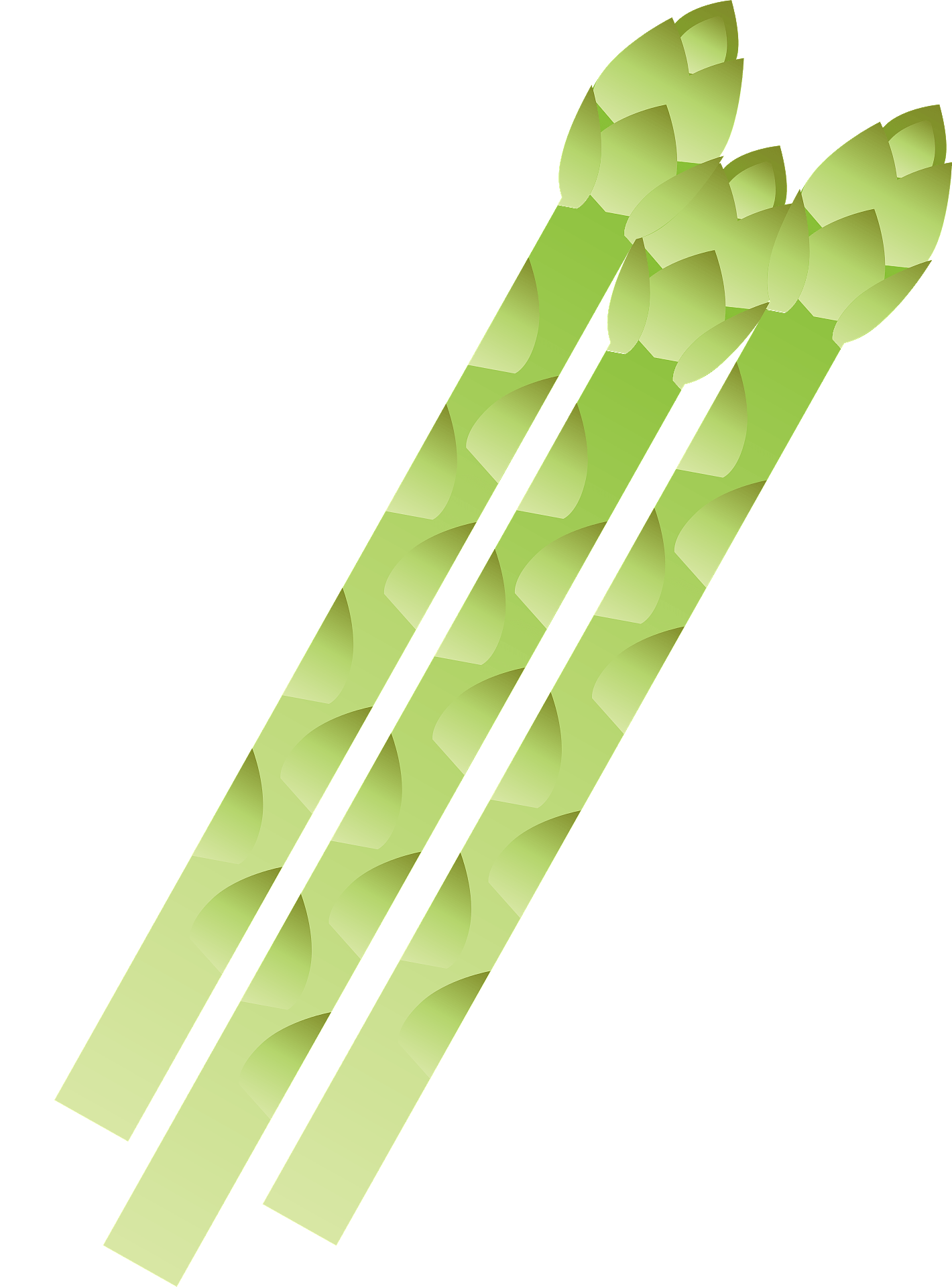 Asparagus sticks PNG Transparent Image