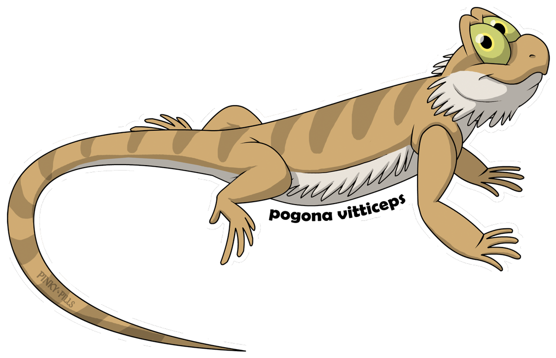 Bearded Dragon PNG Transparent Images, Pictures, Photos | PNG Arts