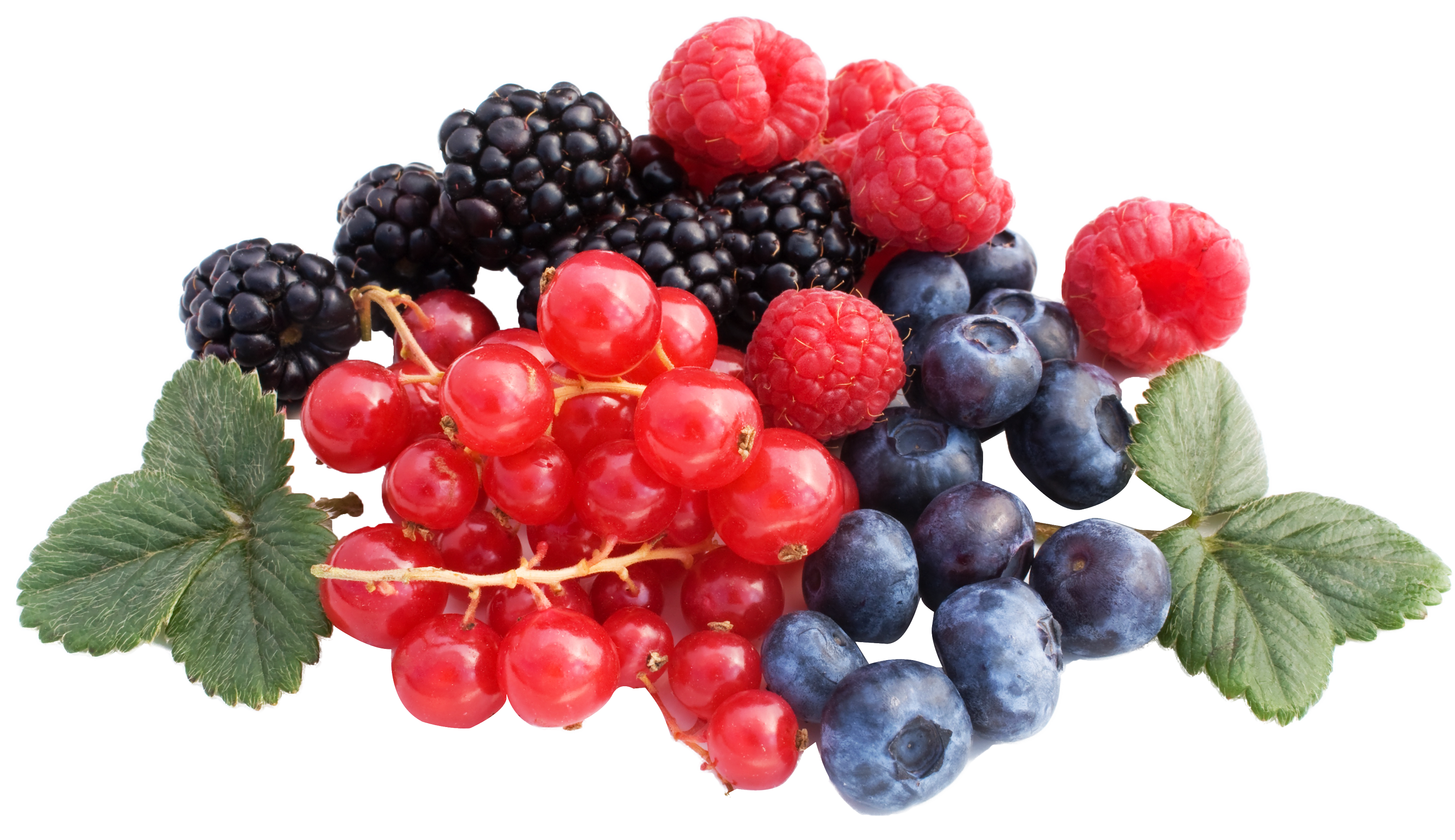 Berry PNG Transparant Beeld