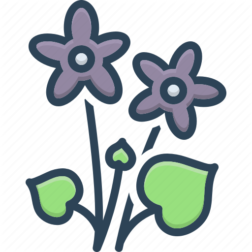 Blossom Bellflower PNG High-Quality Image