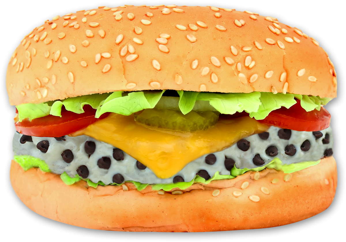 Burger Photo PNG sandwich