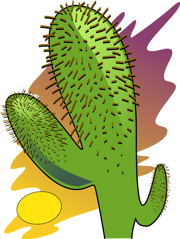 Cactus Prickle PNG Baixar Imagem