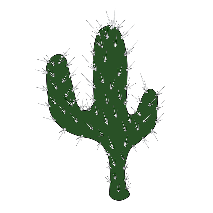 Cactus Prickle PNG Download Grátis