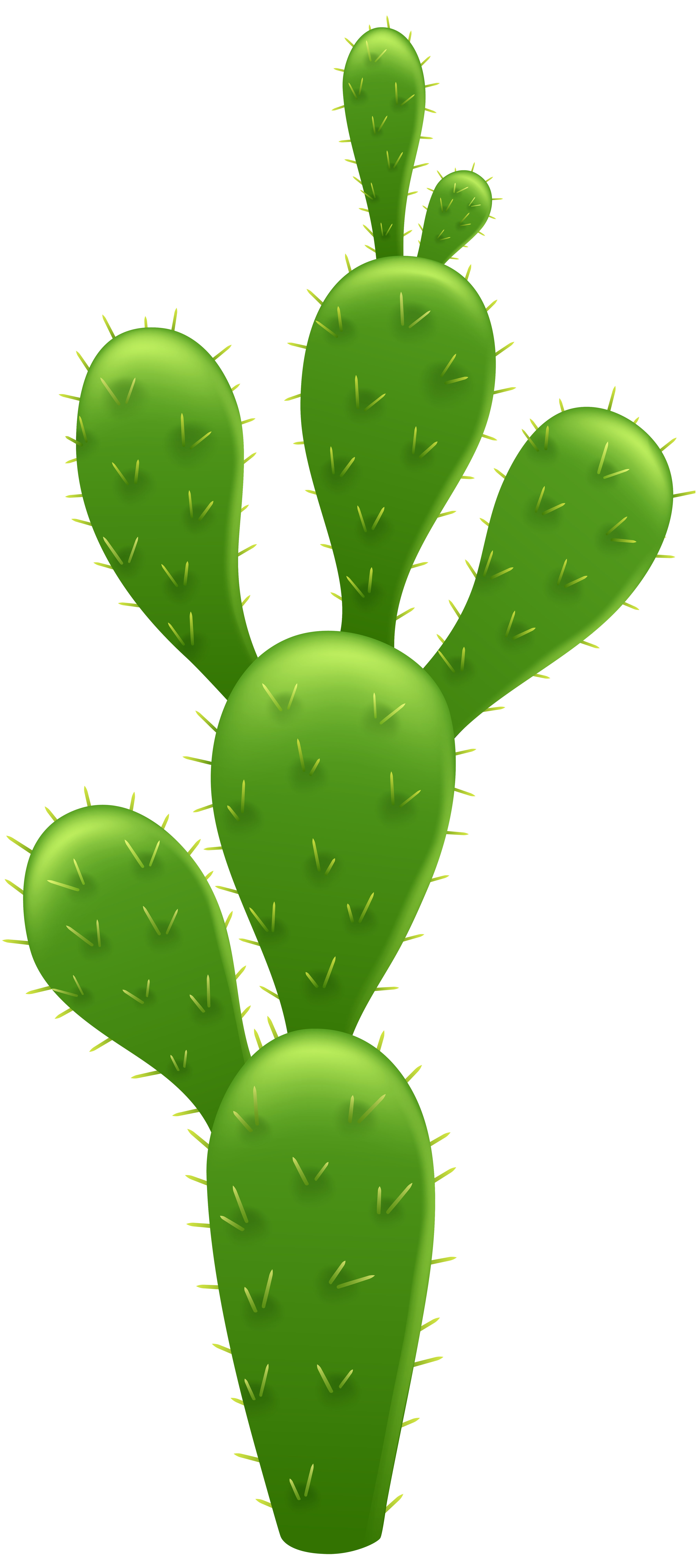Imagem de alta qualidade PNG cactus PNG