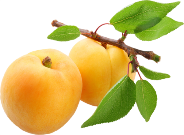 Apricot Fresh PNG Unduh Gambar