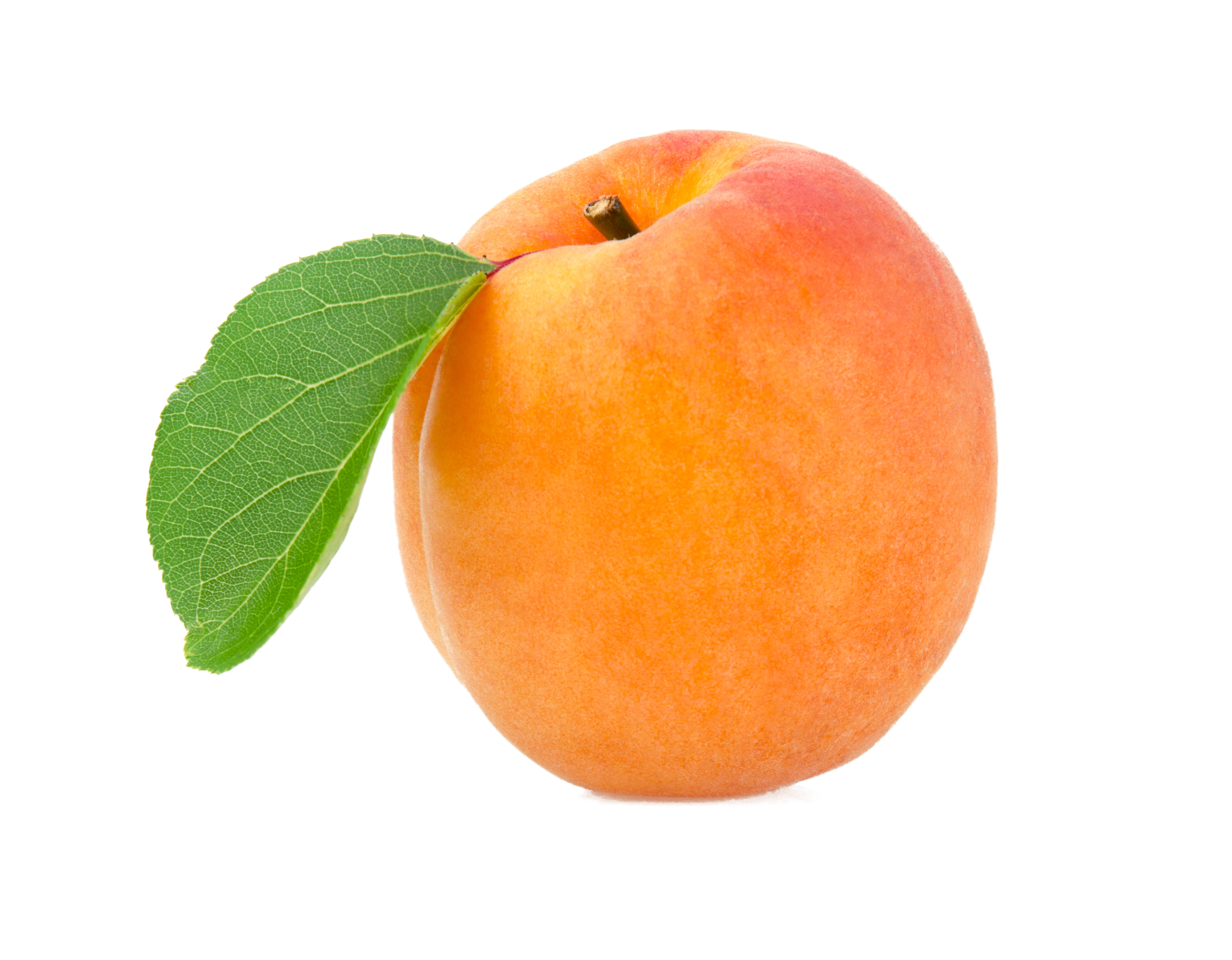 Apricot Fresh PNG Unduh Gratis