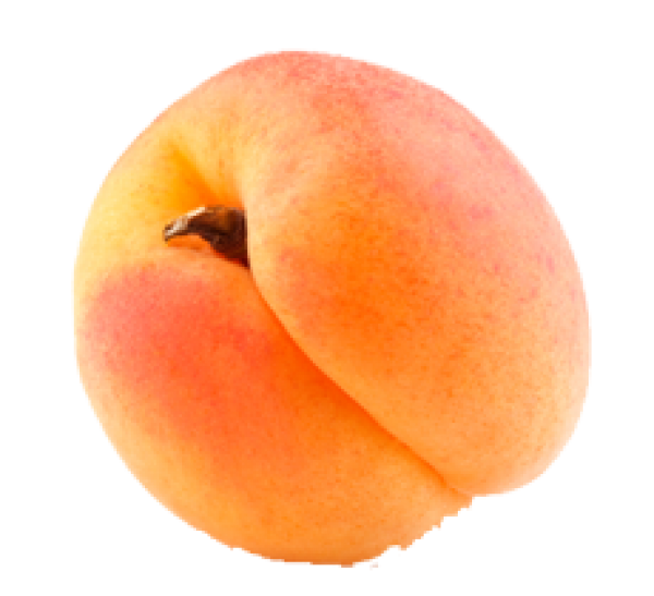 Aprikot segar PNG Gambar berkualitas tinggi