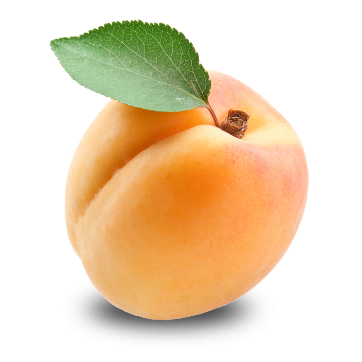 Gambar PNG aprikot segar