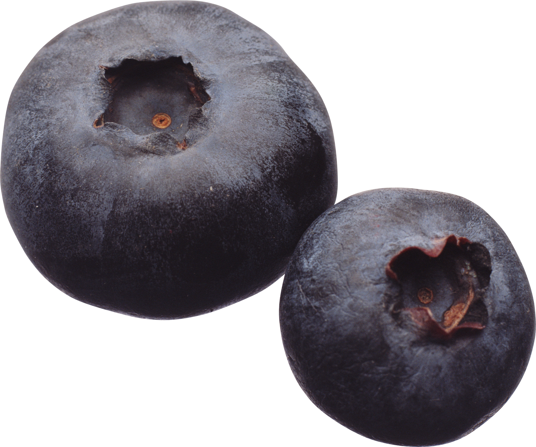 Fresh Blueberry Free PNG-Afbeelding
