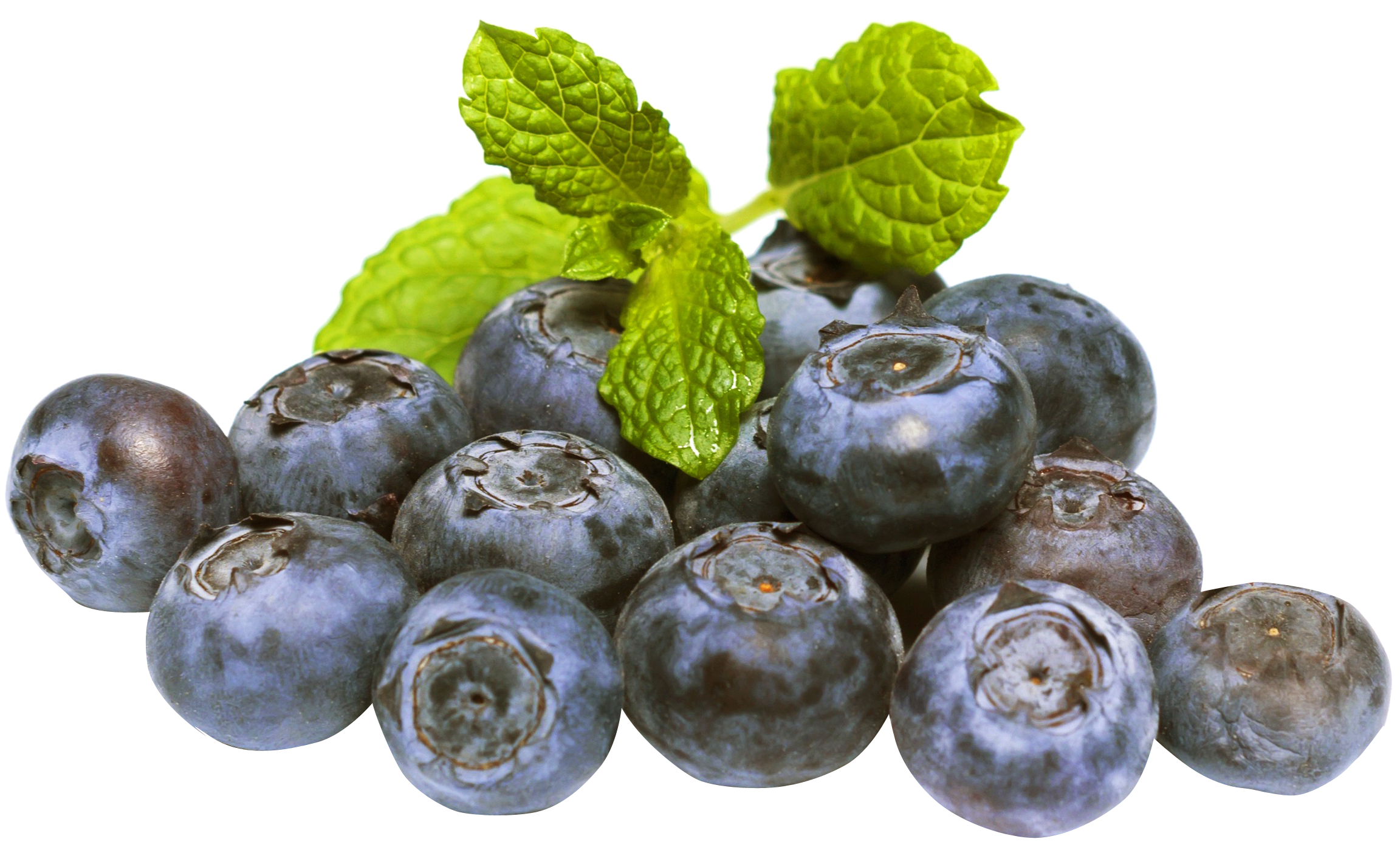 Fresh Blueberry PNG Download Image