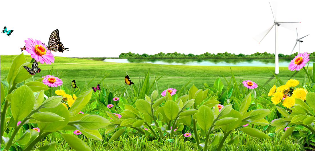 Meadow PNG Image
