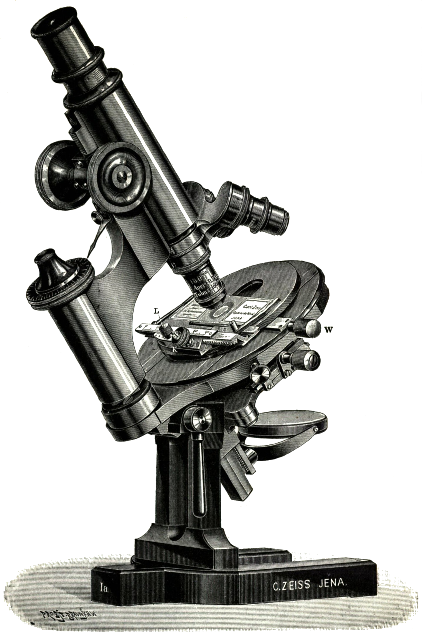 Microscope libre image PNG