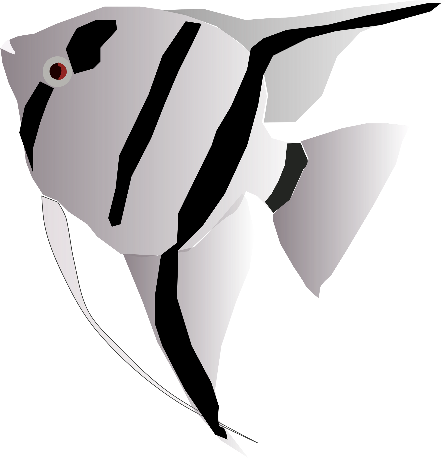Вектор Angelfish PNG изображения фон