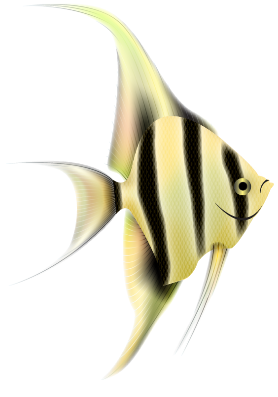 Вектор Angelfish PNG Image