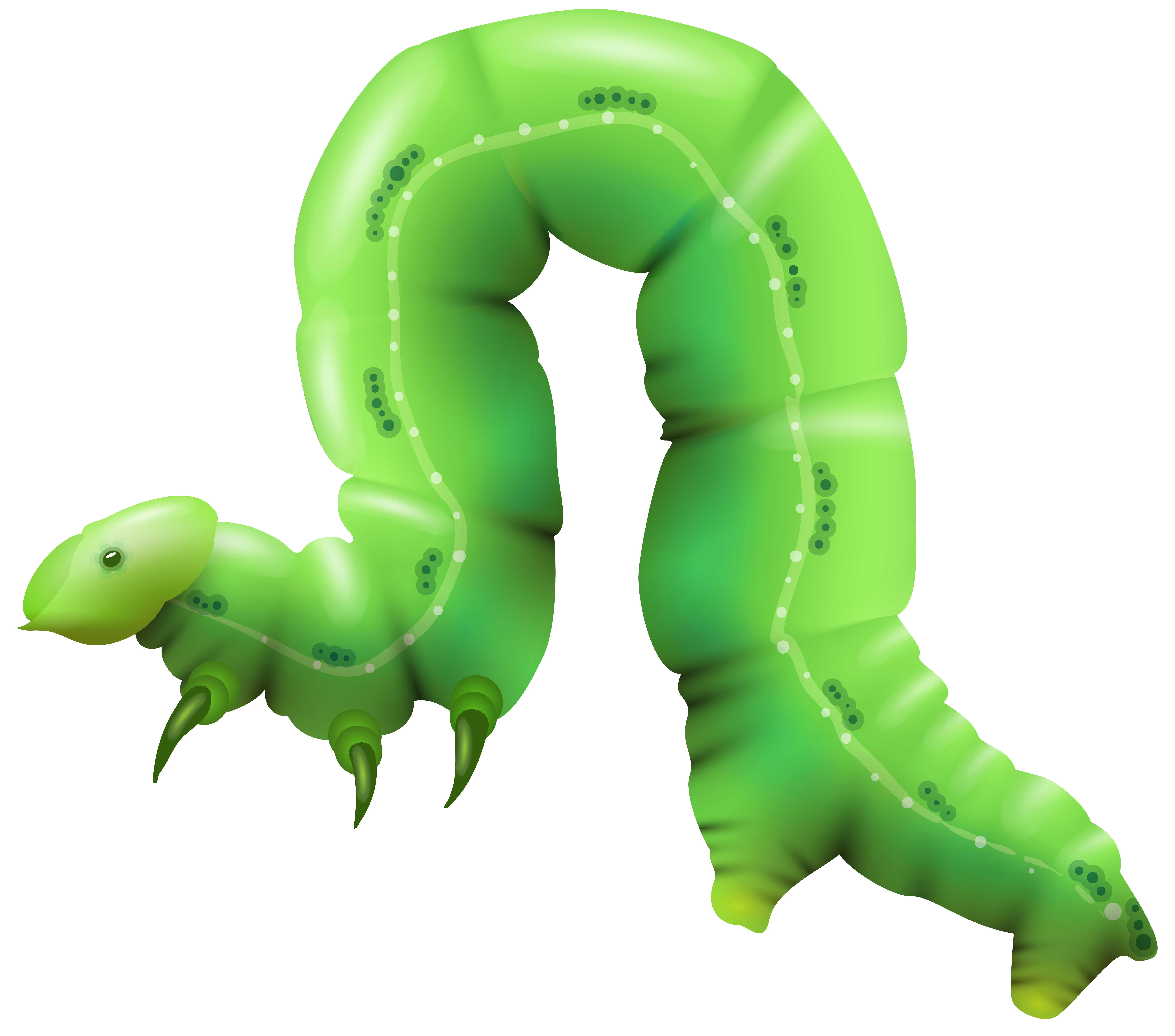 Caterpillar Transparenter Hintergrund