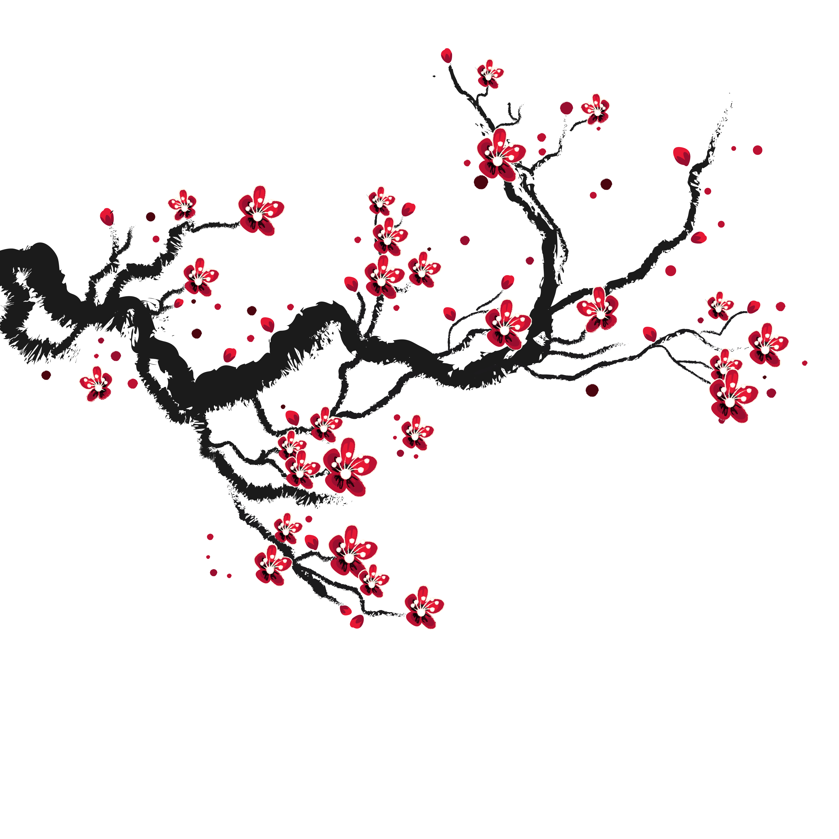 Spring Cherry Blossom PNG ภาพโปร่งใส