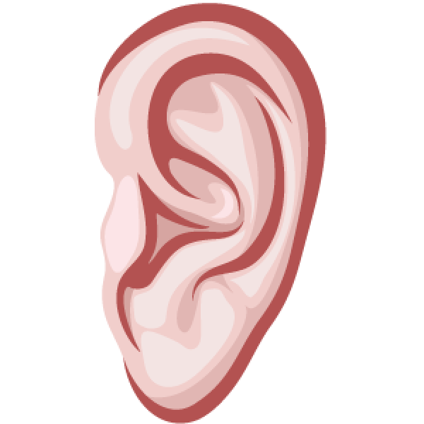 ناقلات الأذن PNG