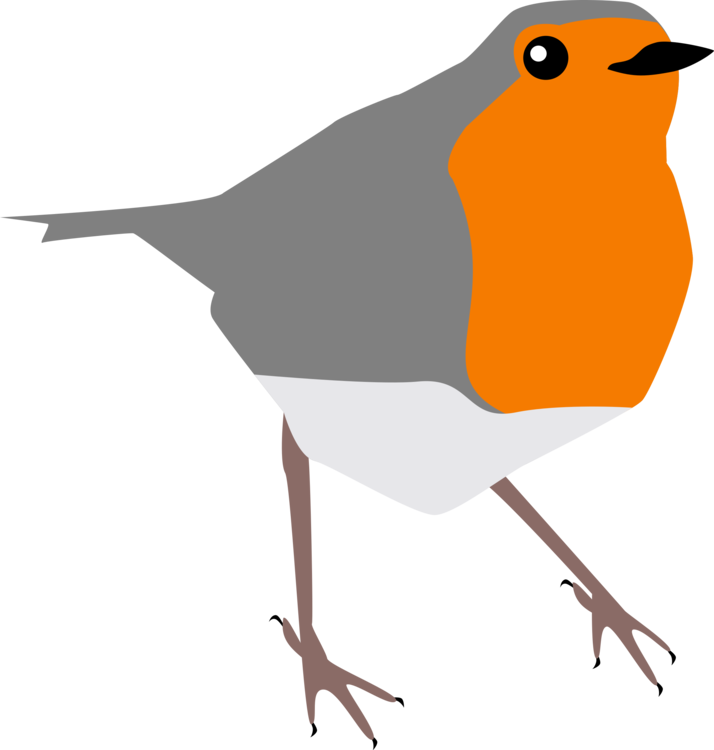 Pássaro de Robin Europeu Transparente