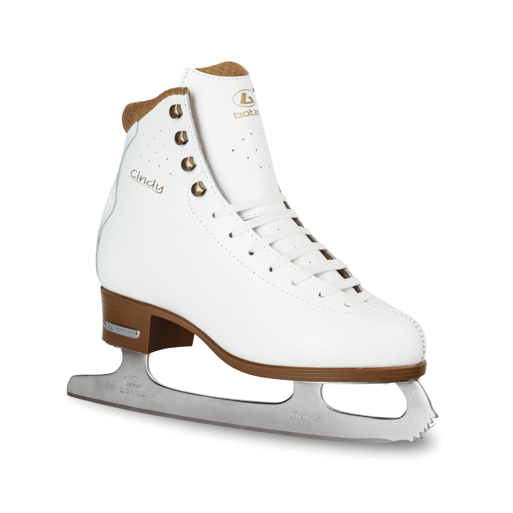 Figure skating shoes PNG hq Picture