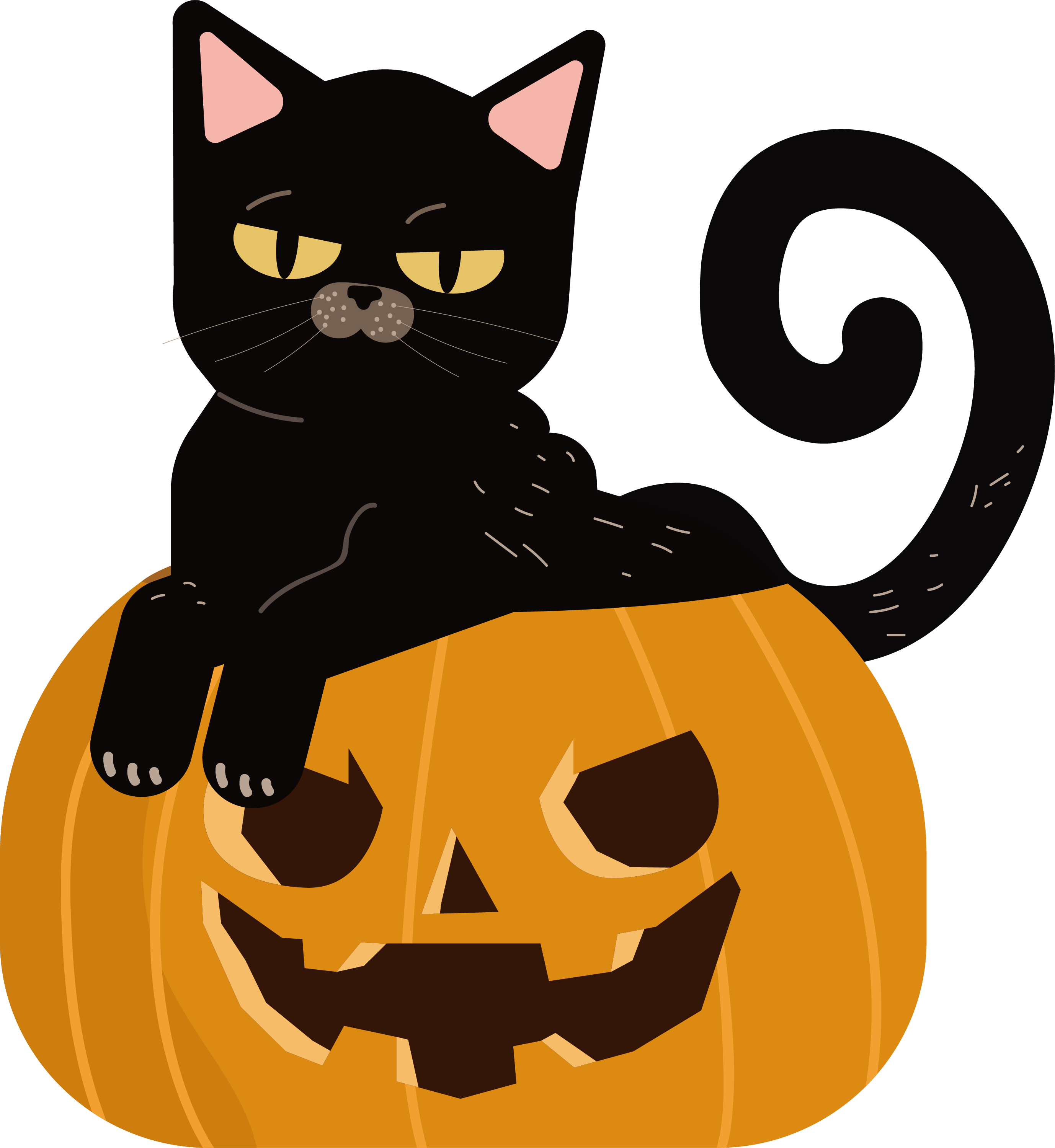 Halloween kucing kartun PNG Gambar
