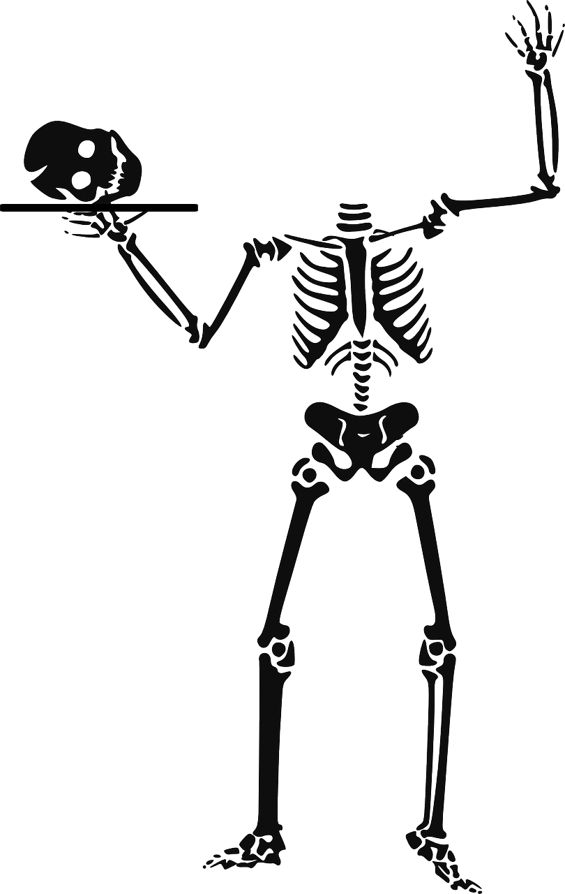 Halloween Skeleton Free PNG Image