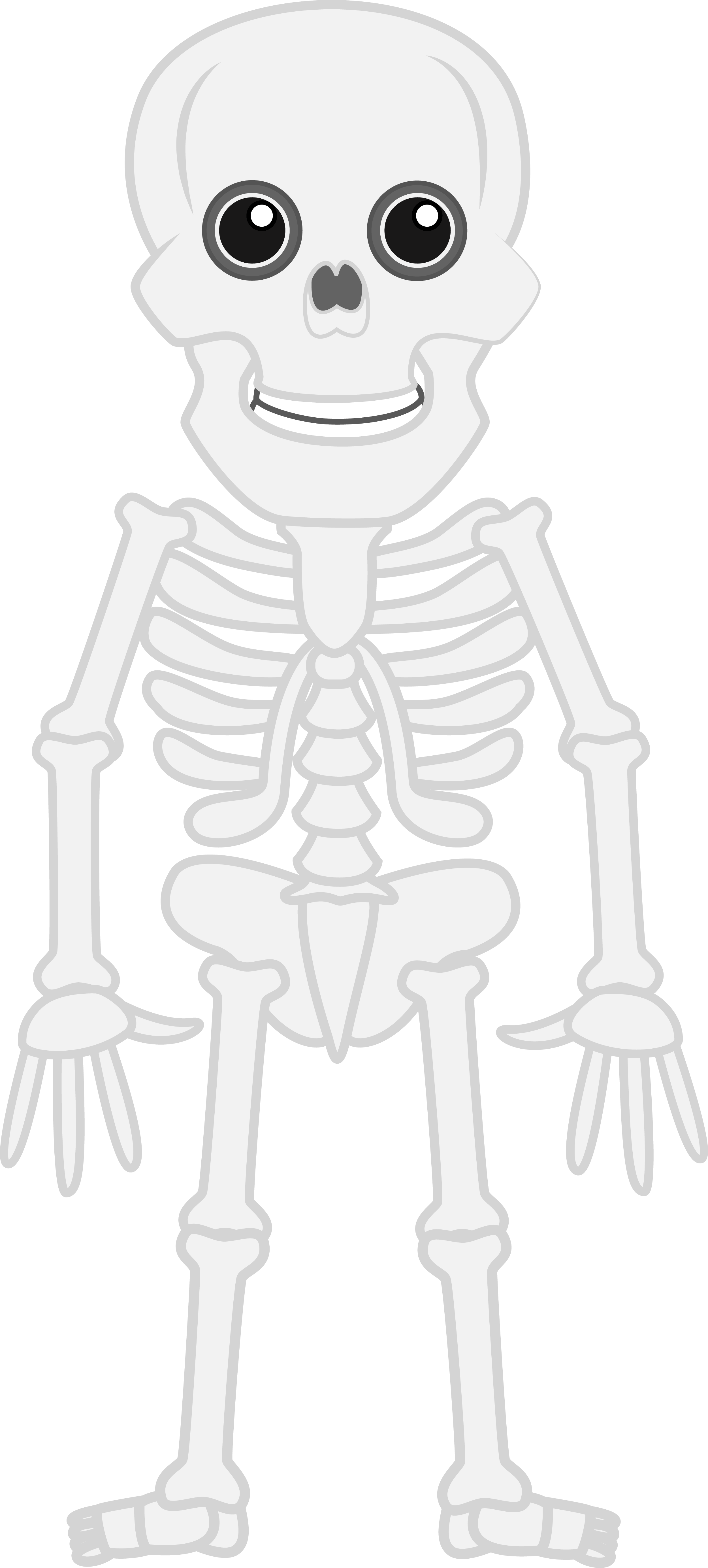 Halloween Skeleton Scary PNG Unduh Gratis