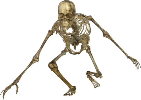 Halloween Skeleton Scary PNG Gambar HQ