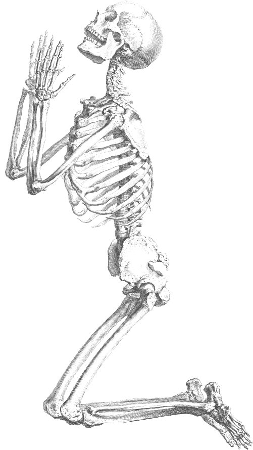 Photo effrayant du squelette Halloween