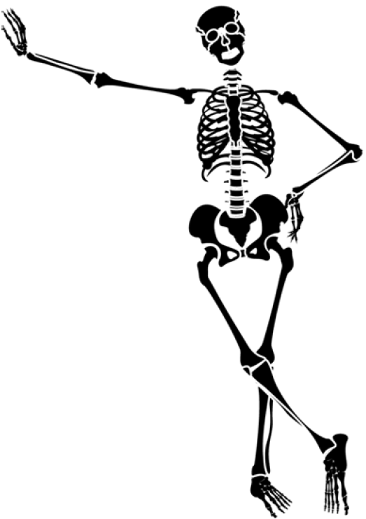 Halloween Skeleton Scary PNG Pic HQ