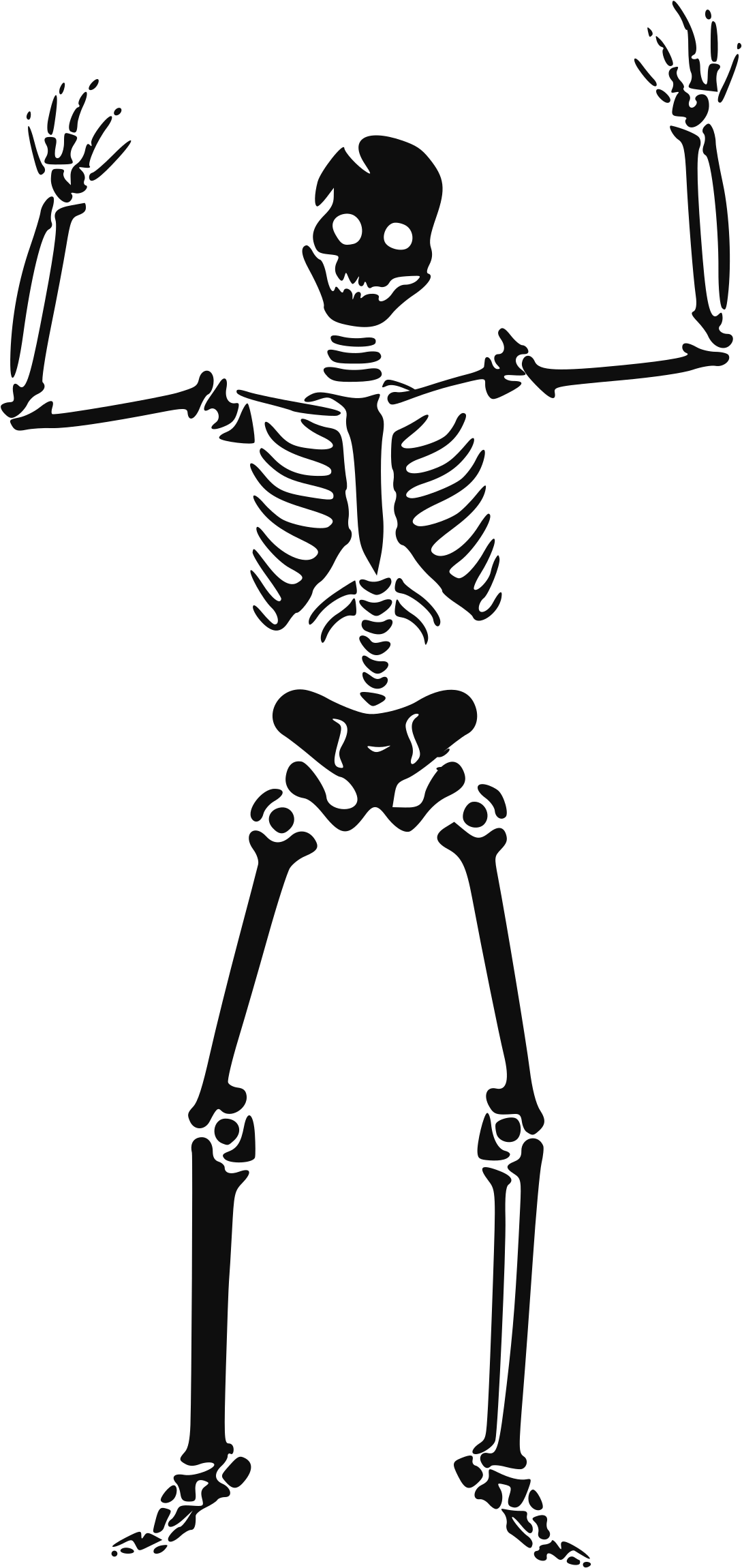 Halloween Skeleton Scary Transparent Gambar