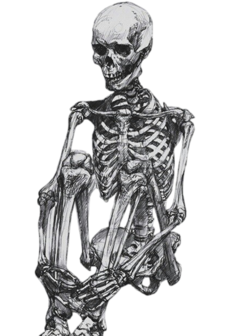 Хэллоуин скелет прозрачный HQ