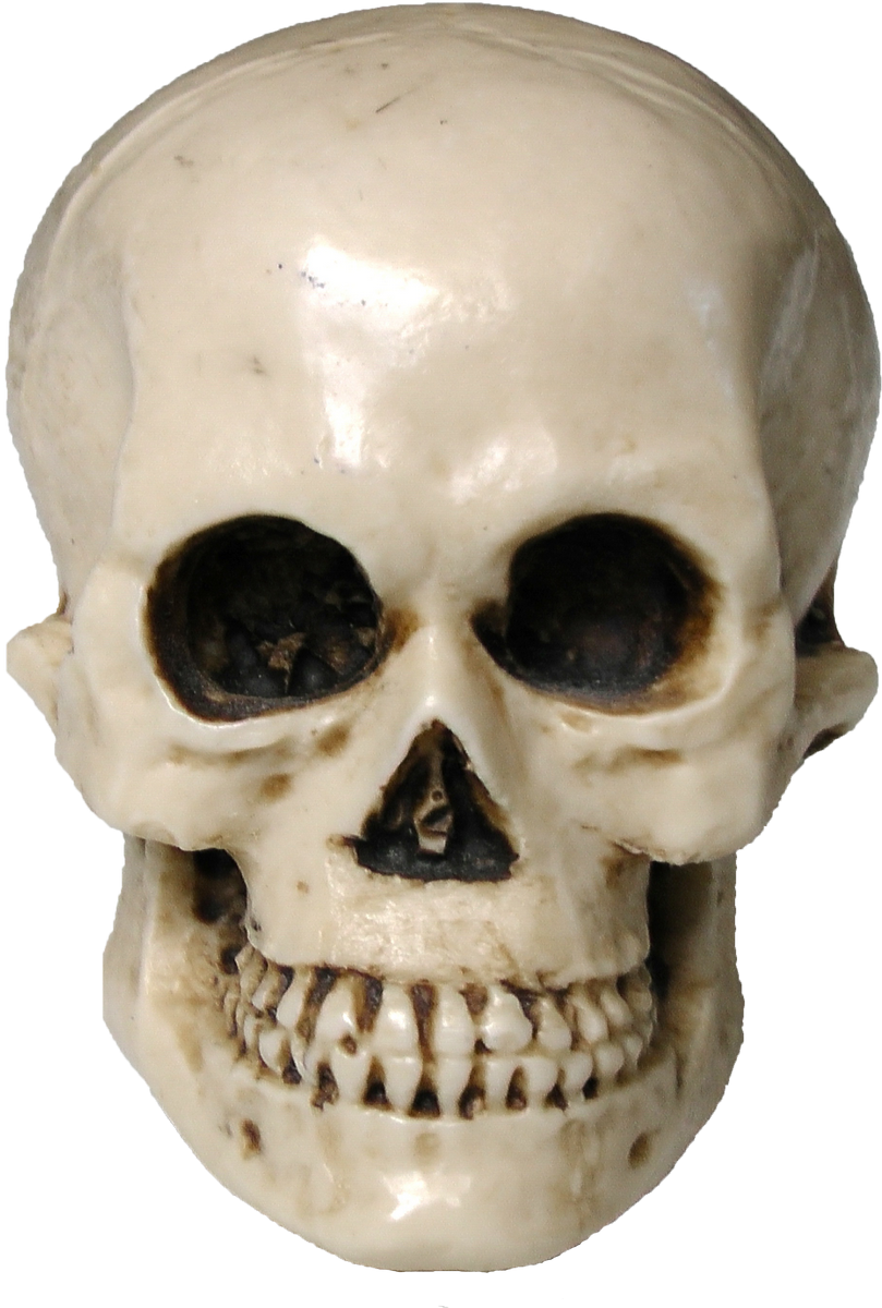 Halloween Skull PNG HQ Gambar