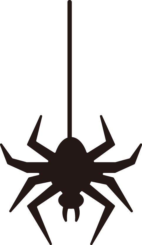 Halloween Spider PNG Pic