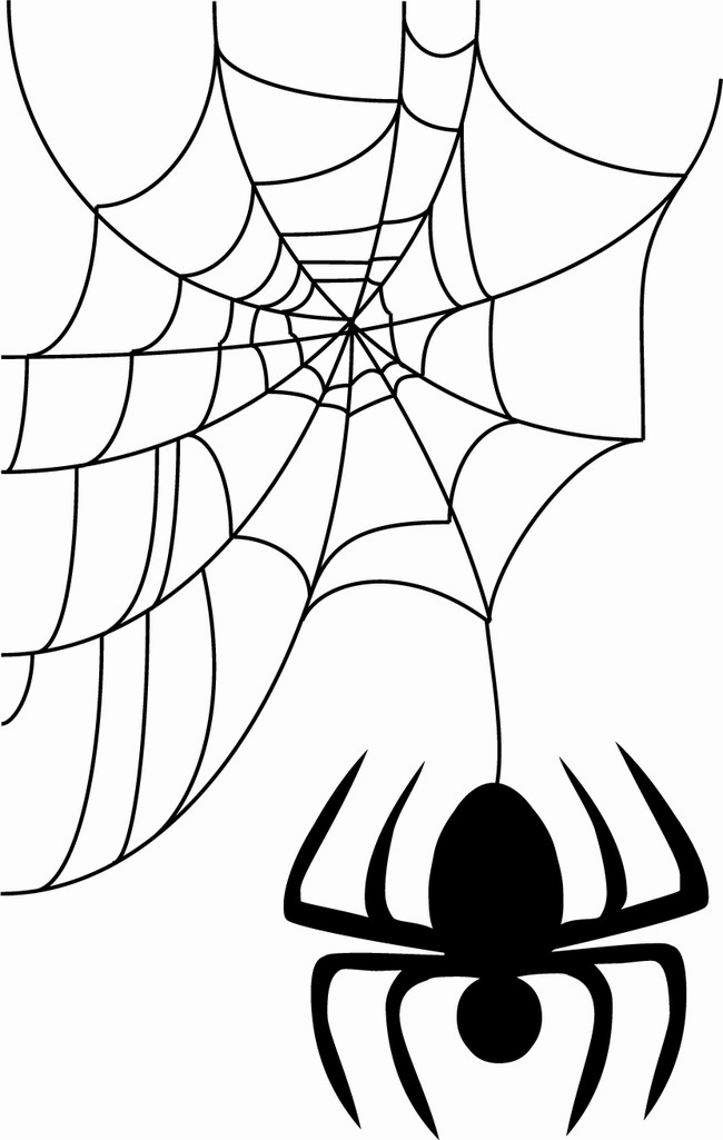 รูปภาพ PNG Halloween Spider Web HQ
