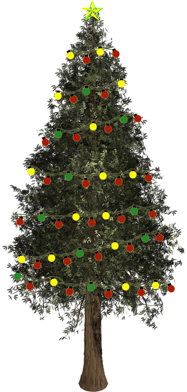 شجرة عيد الميلاد صورة PNG