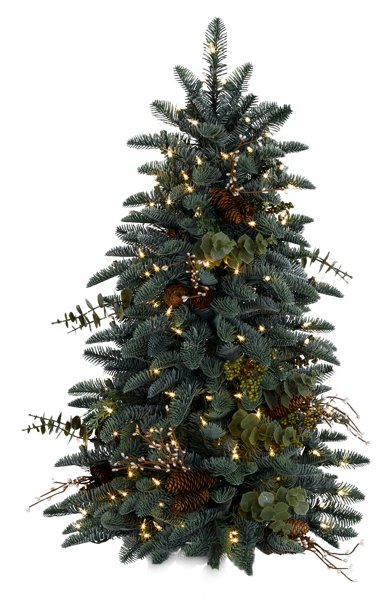 Tree Pasko Transparent Images