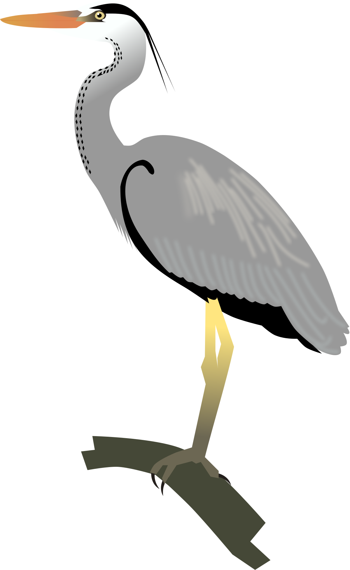 Heron Vector PNG Pic