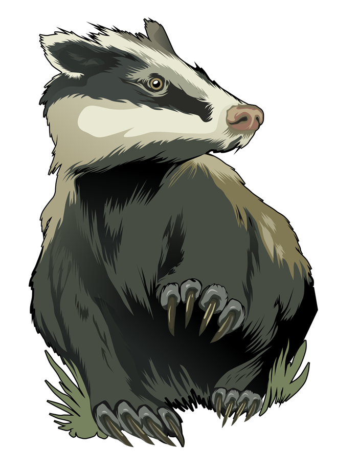 Honey Badger PNG Transparent Images, Pictures, Photos | PNG Arts