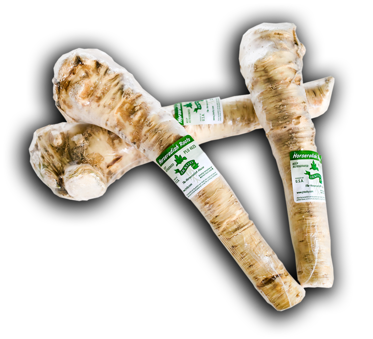 Horseradish Background PNG