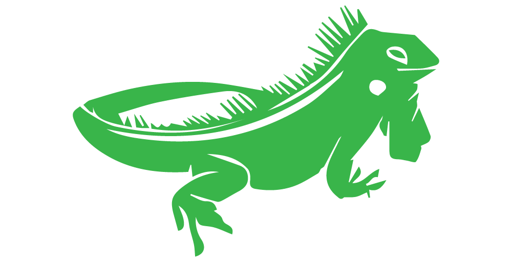 Vektor iguana Transparan hq