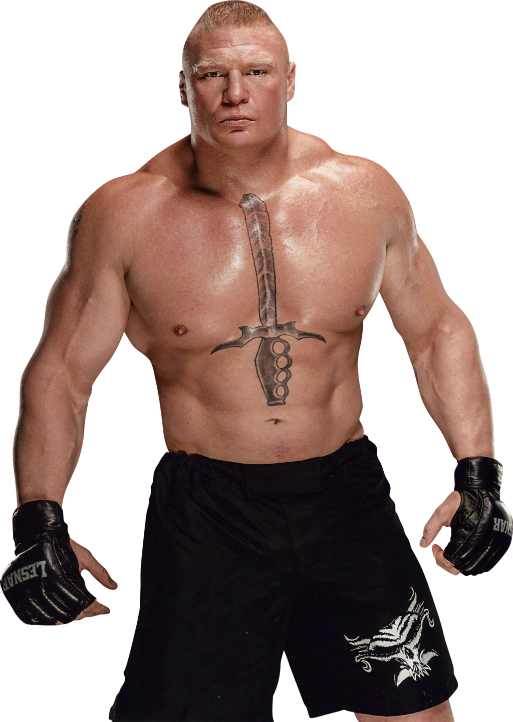 Brock Lesnar Transparent Image