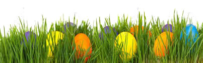 Immagine PNG uova di erba di Pasqua