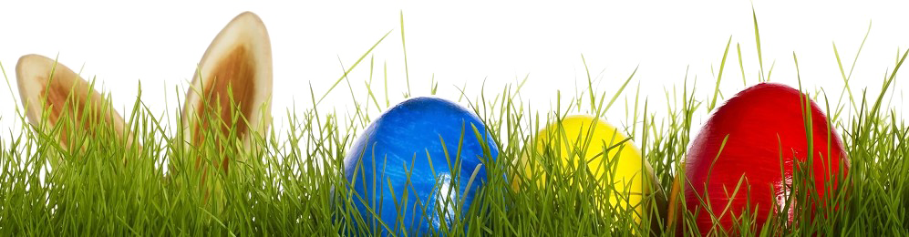Immagine Trasparente di uova di erba di Pasqua