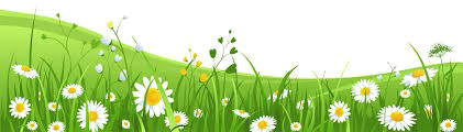 Imagen de fondo PNG de las flores de la hierba de Pascua