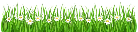 Easter Grass Flowers PNG Descarga gratuita