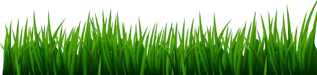 Easter Grass PNG Background Image