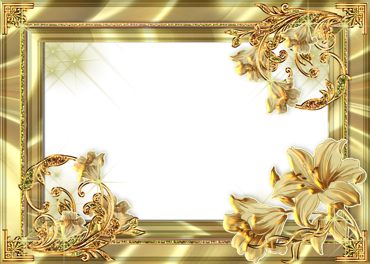 Gouden bloemenrand PNG Transparant Beeld