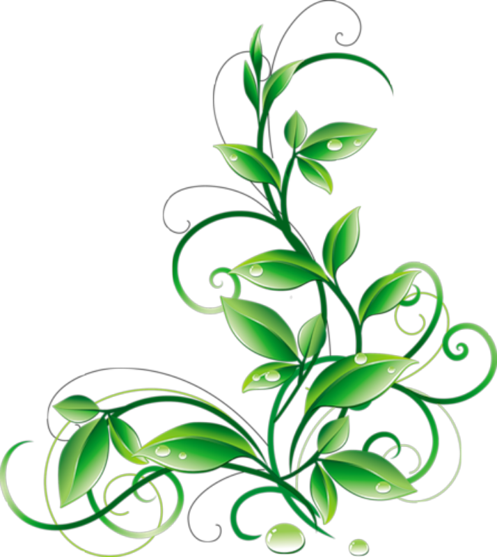 Groene bloemenrand PNG Download Afbeelding