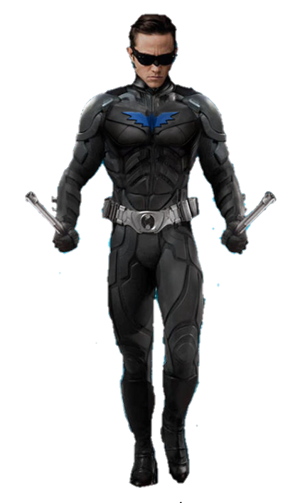 Nightwing PNG Pic