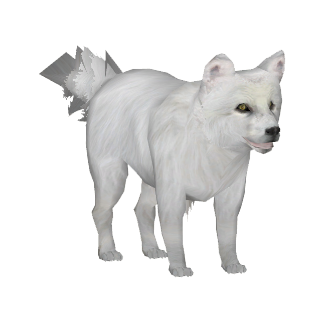 Arctic Fox Transparent Image